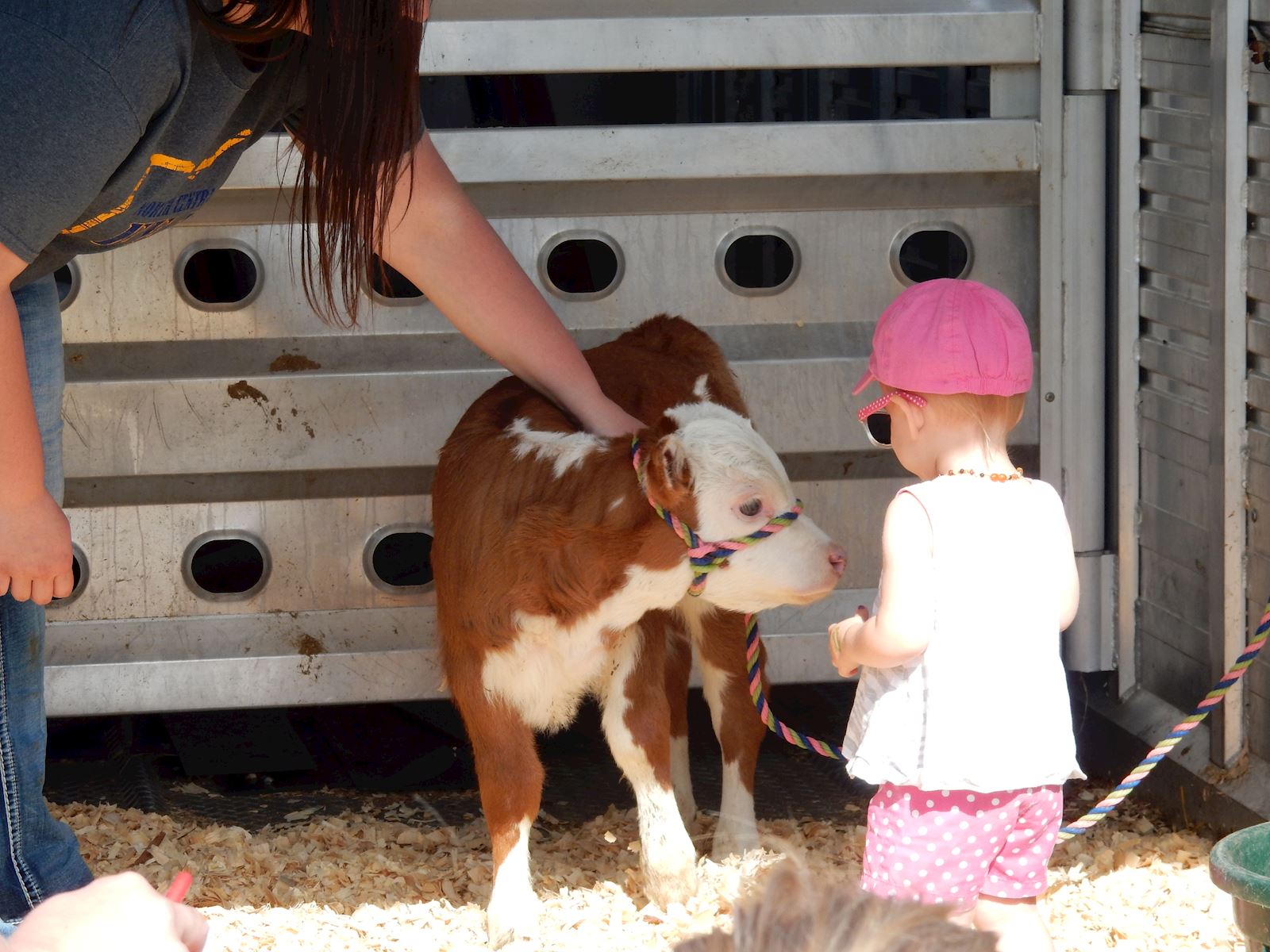 Archbold Kids Day of Play